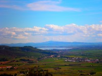 /album/galleria-foto-i-dintorni/p4060071-jpg/