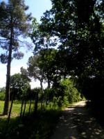 /album/galleria-foto-i-dintorni/p5180166-jpg/