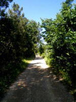 /album/galleria-foto-i-dintorni/p5180168-jpg/