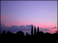 /album/galleria-foto-i-dintorni/bis-1-p9090171-jpg/